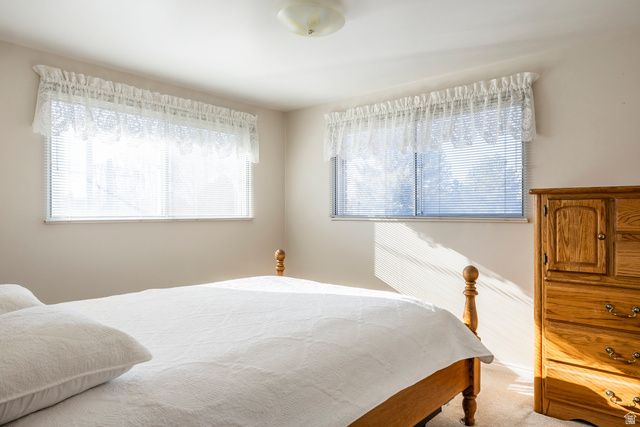 926 E 250 N, Springville, UT 84663