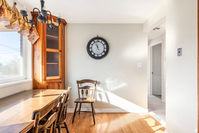 926 E 250 N, Springville, UT 84663