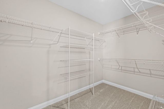 441 Friendly Avenue, Nicholasville, KY 40356