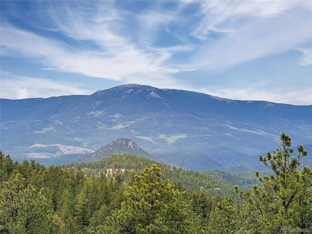 15073 S Wandcrest Dr, Pine, CO 80470