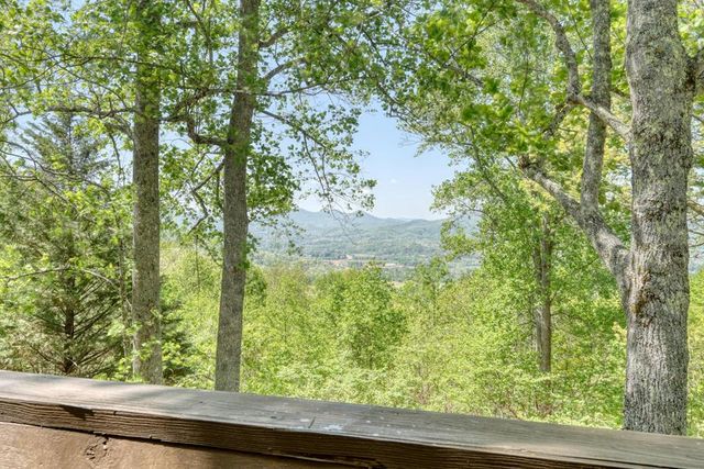 980 Mining Gap Trail, Young Harris, GA 30582