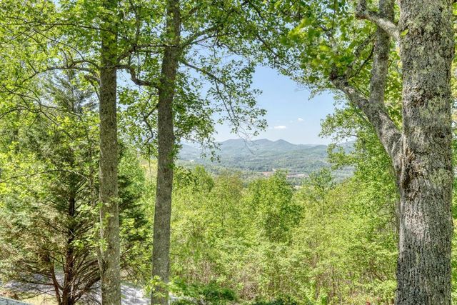 980 Mining Gap Trail, Young Harris, GA 30582
