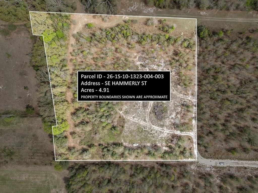 xxx SE HAMMERLY ST, Lee, FL 32059