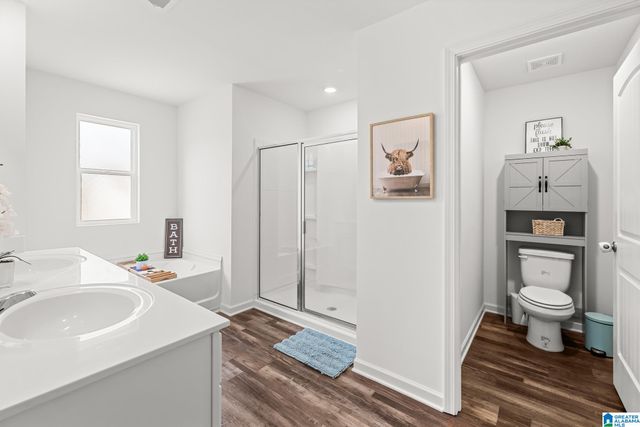 1335 CHELSEA PARK TRAIL, Chelsea, AL 35043