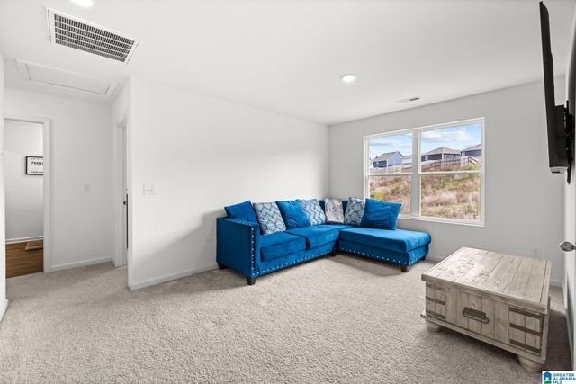 1335 CHELSEA PARK TRAIL, Chelsea, AL 35043