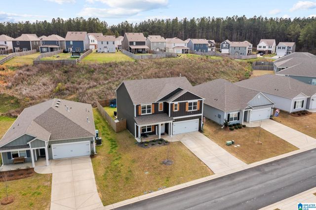 1335 CHELSEA PARK TRAIL, Chelsea, AL 35043