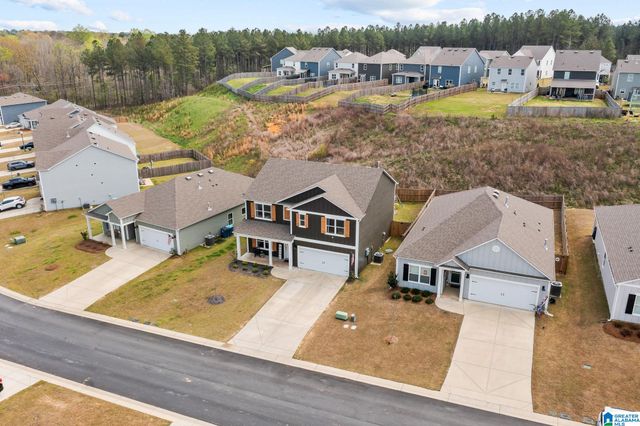 1335 CHELSEA PARK TRAIL, Chelsea, AL 35043