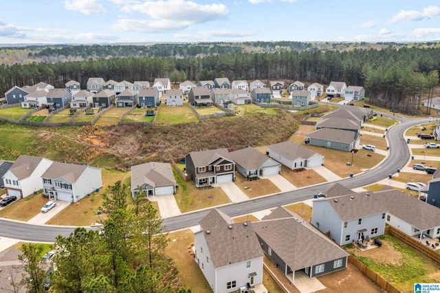 1335 CHELSEA PARK TRAIL, Chelsea, AL 35043