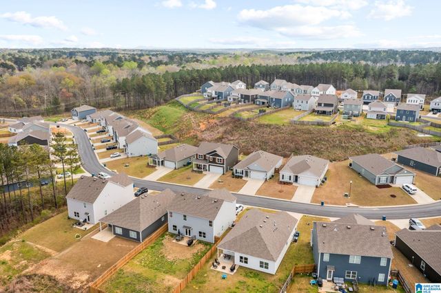 1335 CHELSEA PARK TRAIL, Chelsea, AL 35043