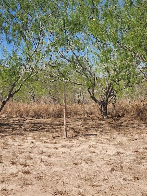 0 Lorese, Edinburg, TX 78541