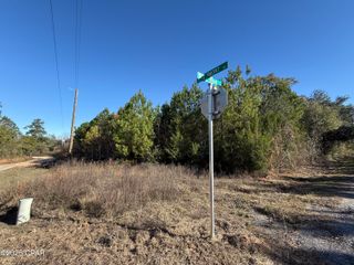 00 Bull Run Lane, Marianna, FL 32446