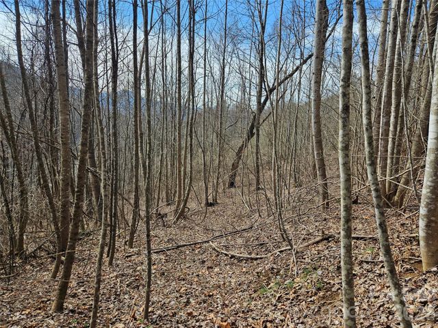 0 Woodfin Road, Sylva, NC 28779