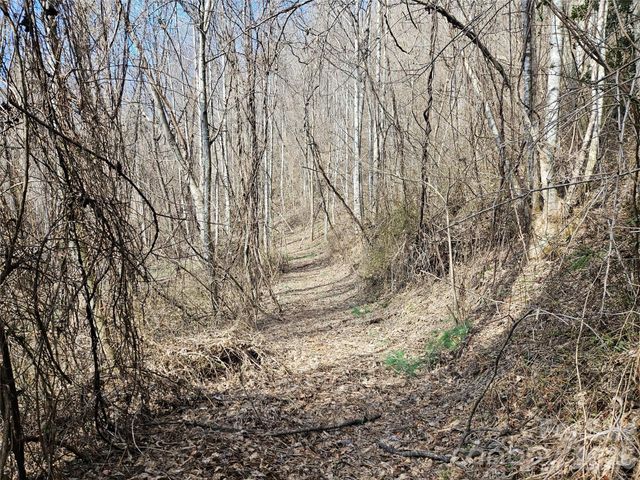 0 Woodfin Road, Sylva, NC 28779