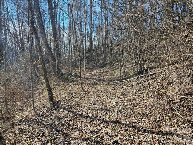 0 Woodfin Road, Sylva, NC 28779