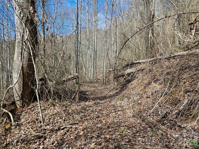 0 Woodfin Road, Sylva, NC 28779