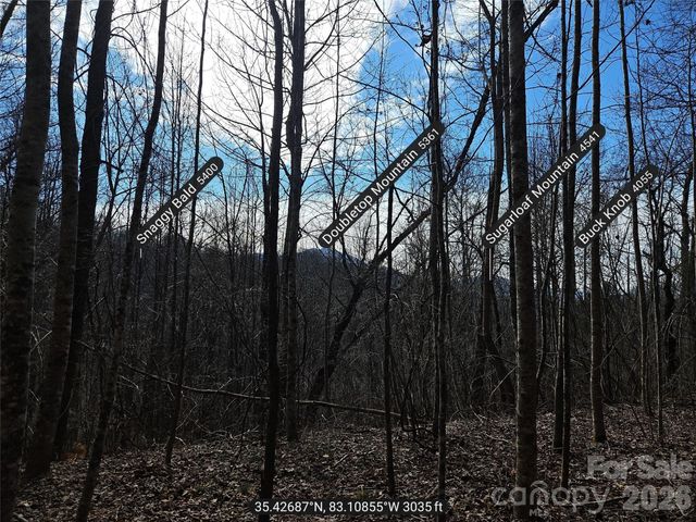 0 Woodfin Road, Sylva, NC 28779