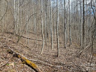 0 Woodfin Road, Sylva, NC 28779