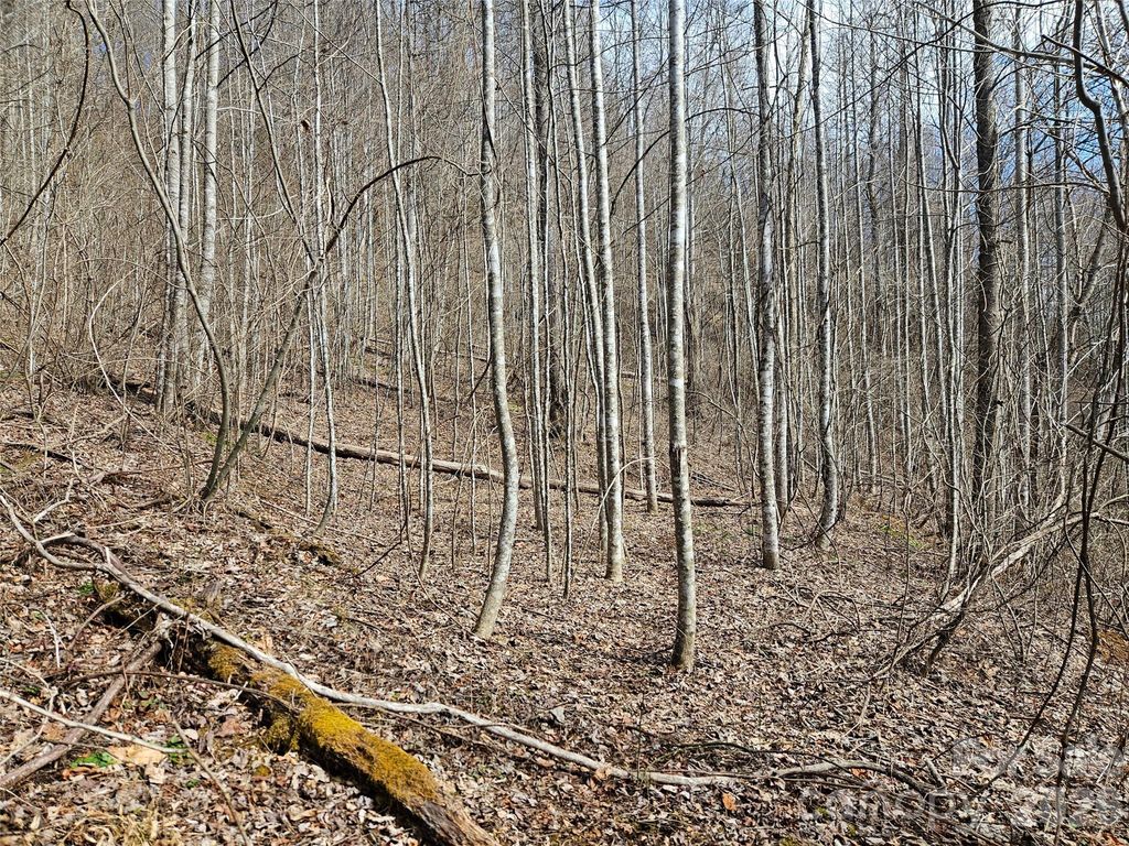 0 Woodfin Road, Sylva, NC 28779