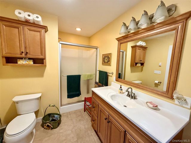 11 W Mongaup Trail, Smallwood, NY 12778
