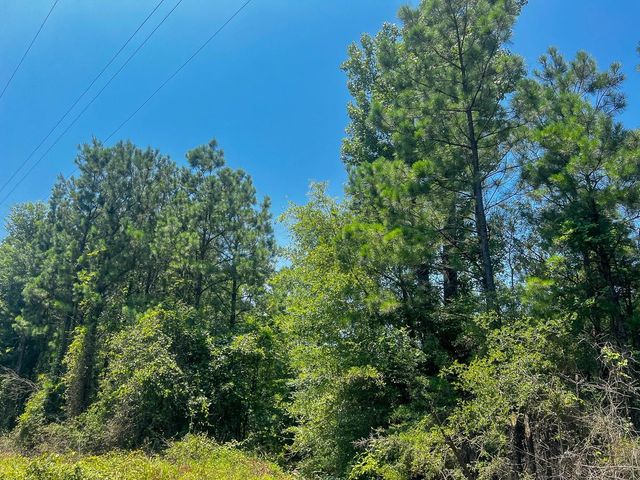 06 Bayou Road, Milam, TX 75948