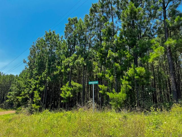 06 Bayou Road, Milam, TX 75948