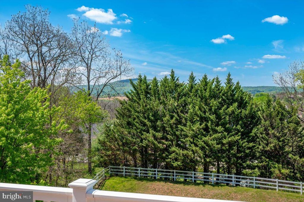 Image 53 of property listing at 307 WASHINGTON ST, Middletown, MD 21769