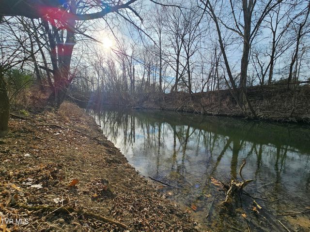 2105 Flea Ridge Road, Mohawk, TN 37810