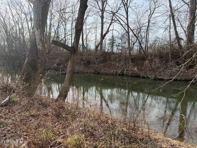 2105 Flea Ridge Road, Mohawk, TN 37810