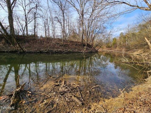 2105 Flea Ridge Road, Mohawk, TN 37810