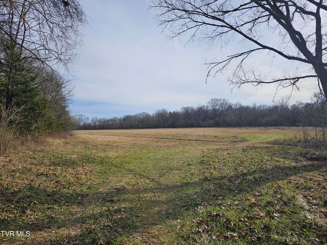 2105 Flea Ridge Road, Mohawk, TN 37810