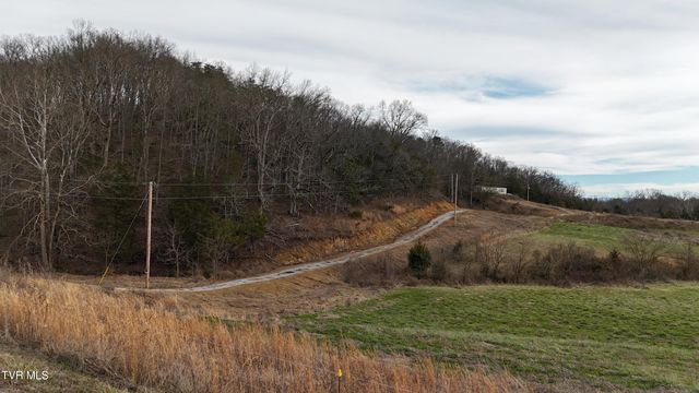 2105 Flea Ridge Road, Mohawk, TN 37810