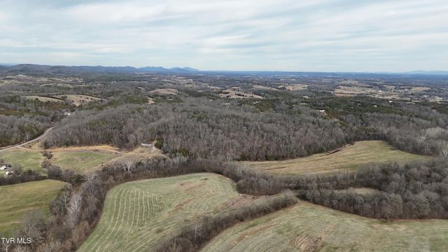 2105 Flea Ridge Road, Mohawk, TN 37810