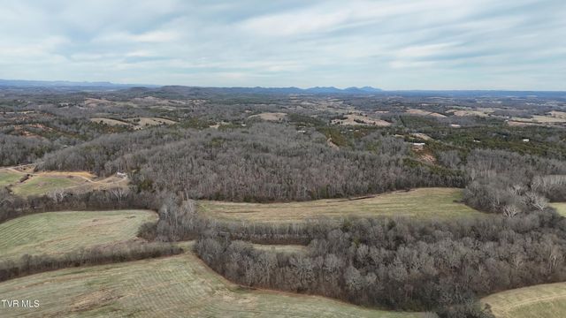 2105 Flea Ridge Road, Mohawk, TN 37810