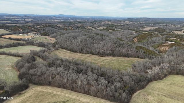 2105 Flea Ridge Road, Mohawk, TN 37810