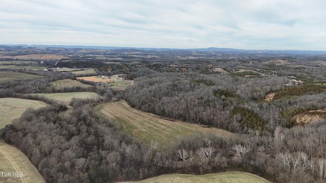 2105 Flea Ridge Road, Mohawk, TN 37810