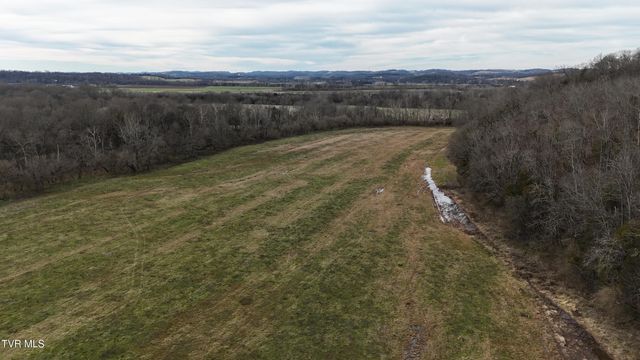 2105 Flea Ridge Road, Mohawk, TN 37810