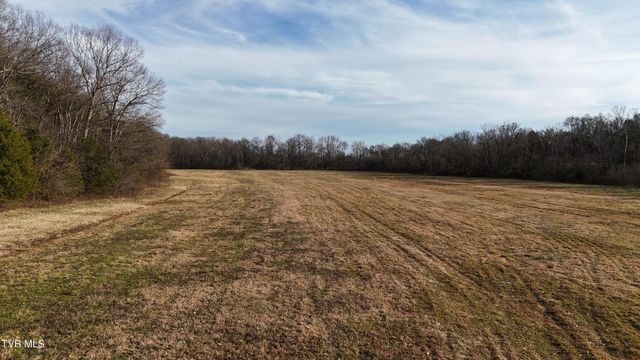 2105 Flea Ridge Road, Mohawk, TN 37810