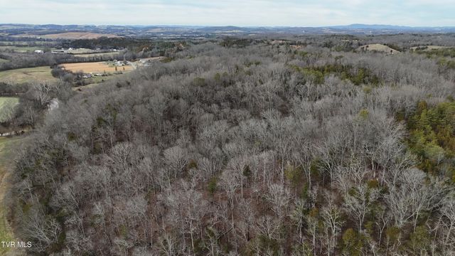 2105 Flea Ridge Road, Mohawk, TN 37810