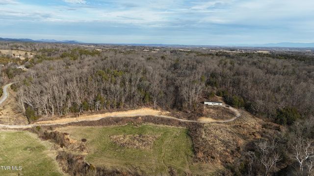 2105 Flea Ridge Road, Mohawk, TN 37810