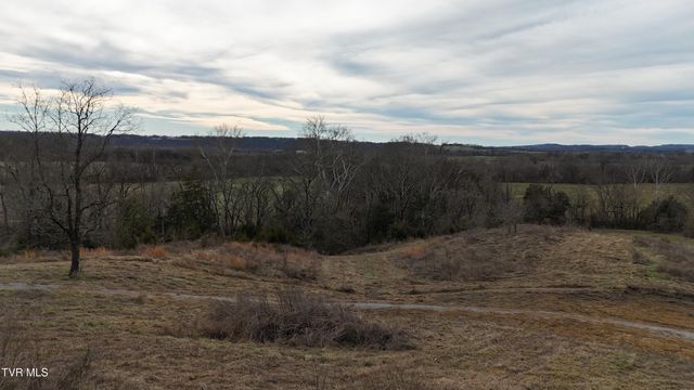 2105 Flea Ridge Road, Mohawk, TN 37810