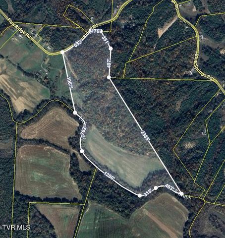 2105 Flea Ridge Road, Mohawk, TN 37810