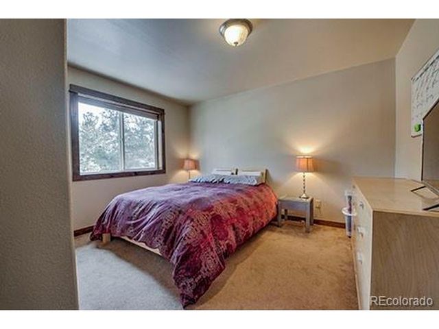 2180 Mullenville Rd, Fairplay, CO 80440