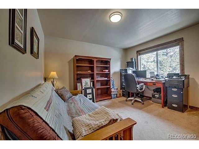 2180 Mullenville Rd, Fairplay, CO 80440