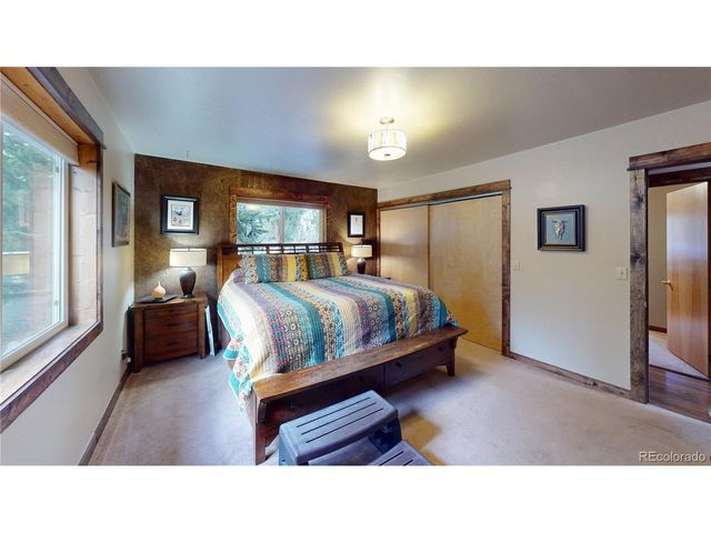 2180 Mullenville Rd, Fairplay, CO 80440