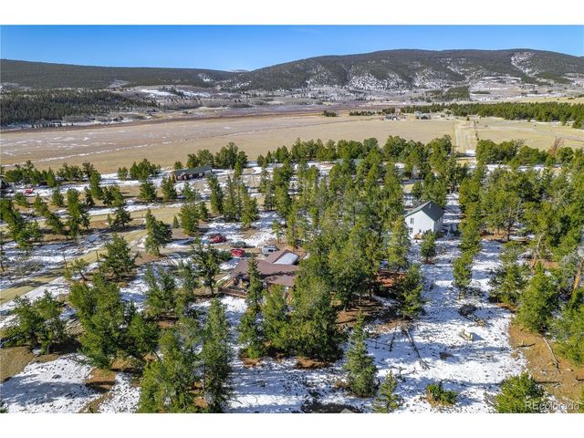 2180 Mullenville Rd, Fairplay, CO 80440