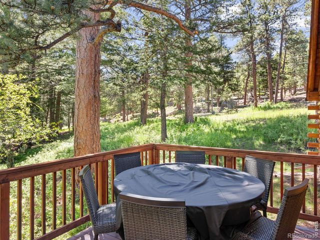 1062 Ramshorn Road, Estes Park, CO 80517