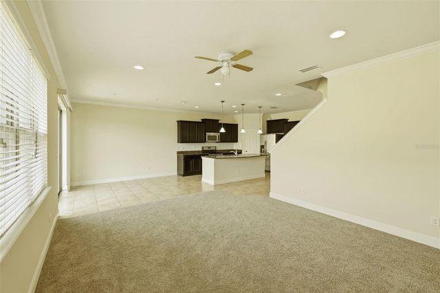 9118 MOUNTAIN MAGNOLIA DRIVE, Riverview, FL 33578