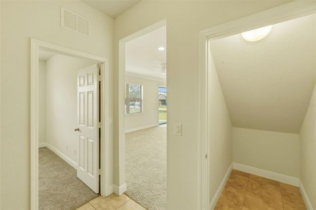 9118 MOUNTAIN MAGNOLIA DRIVE, Riverview, FL 33578