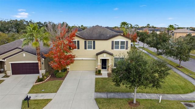 9118 MOUNTAIN MAGNOLIA DRIVE, Riverview, FL 33578