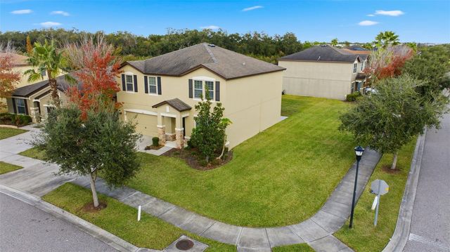 9118 MOUNTAIN MAGNOLIA DRIVE, Riverview, FL 33578